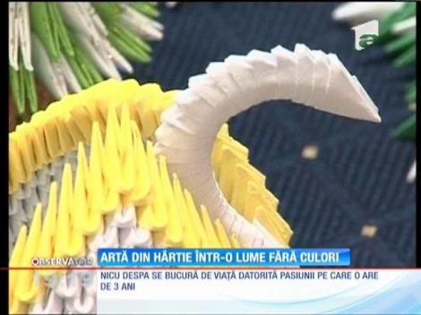 Într-o lume fără lumină şi culori, Nicu a învăţat să facă origami