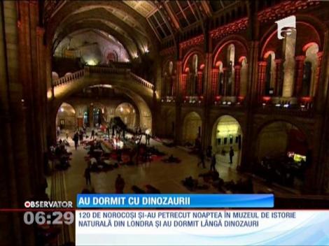 120 de norocoşi şi-au petrecut noaptea în Muzeul de Istorie Naturală din Londra