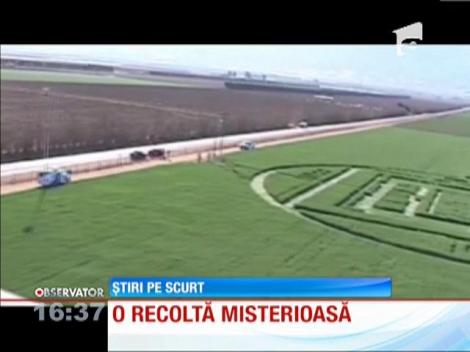 O fermă, loc de pelerinaj pentru amatorii de fenomene extraterestre