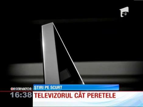 Televizorul cu diagonala de 3 metri