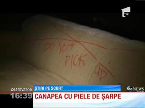 Şi-a cumpărat o canapea la mâna a doua şi a primit, bonus, un pito