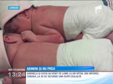 Gemeni născuți în ani diferiți, în noaptea de Revelion