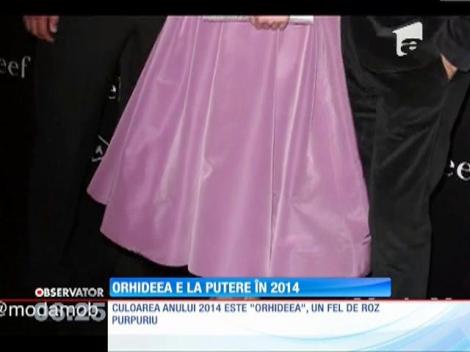 Culoarea anului 2014 este "orhideea"
