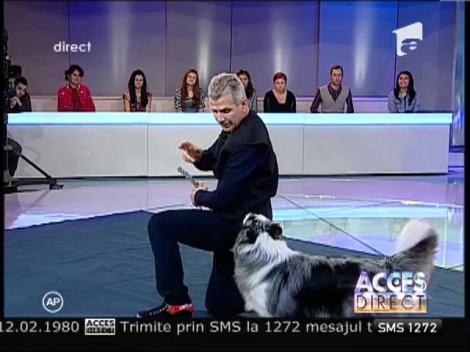 Bruno Icobet, magicianul câinilor