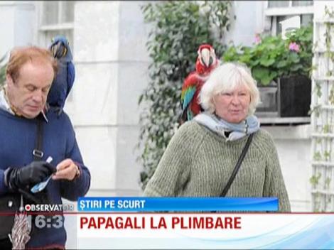 La plimbare cu papagalii