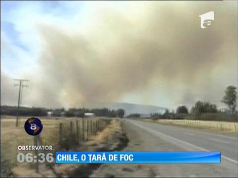 Incendiile de vegetaţie fac ravagii în Chile