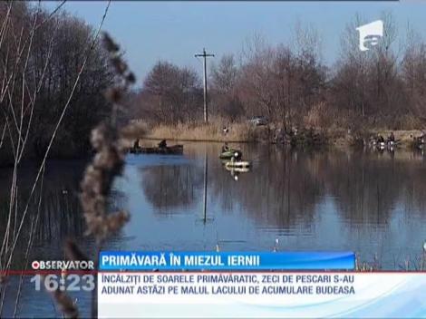 Primăvară &icirc;n miezul iernii