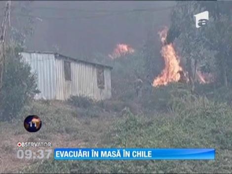 17 mii de hectare de pădure din Chile, mistuite de flăcări