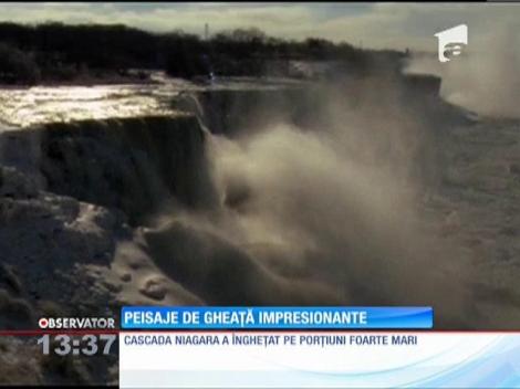 Cascada Niagara a îngheţat pe porţiuni foarte mari