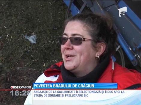 Povestea bradului de Craciun