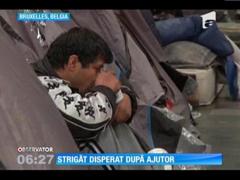 Sute de refugiaţi afgani au ocupat o biserică din Belgia