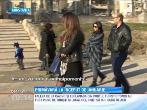 Primăvară la început de ianuarie