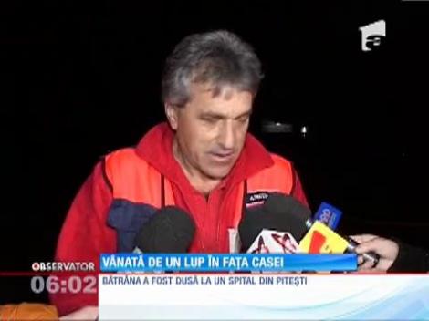 Bătrână muşcată de lup în faţa casei