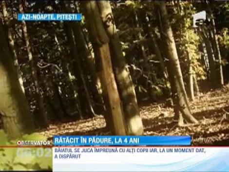 Copil de patru ani dispărut în pădure, găsit nevătămat
