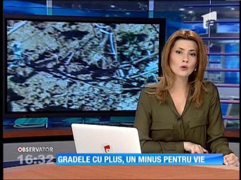 Gradele cu plus, un minus pentru vie