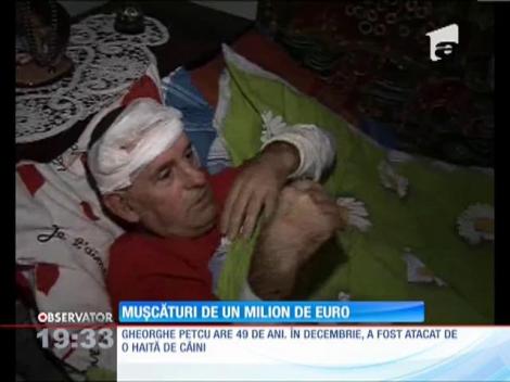 Un timişorean mutilat de o haită de câini cere despăgubiri de un milion de euro!