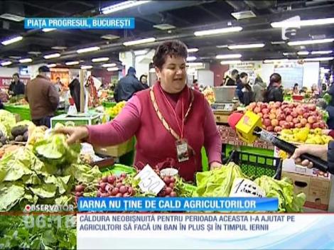 Tarabele sunt pline de legume româneşti! Soarele de ianuarie i-a ajutat pe agricultorii cu solarii