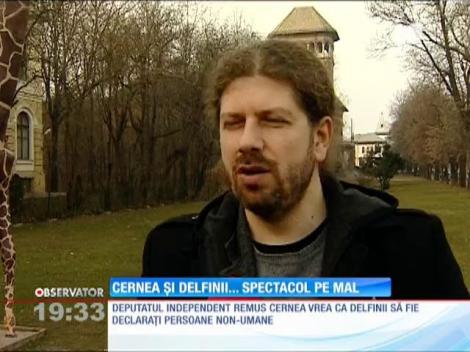 Remus Cernea vrea să transforme delfinii în persoane!