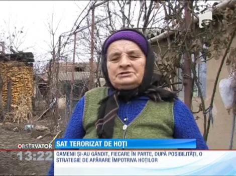 Sat din Buzău terorizat de hoţi