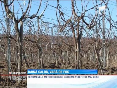 Meteorologii avertizează: Anul 2014 va fi unul dintre cei mai călduroşi din istorie