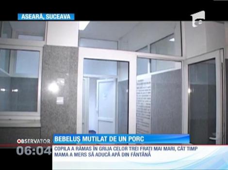 O fetiţă de şase luni a fost mutilată pe viaţă de un porc