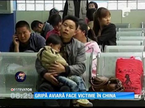 Gripă aviară face victime în China