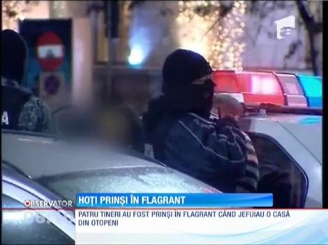 Hoţi prinşi în flagrant