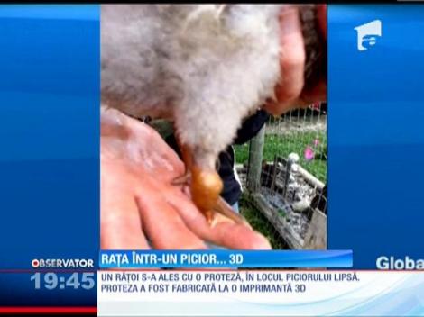 Un răţoi fără un picior s-a ales cu o proteză 3D