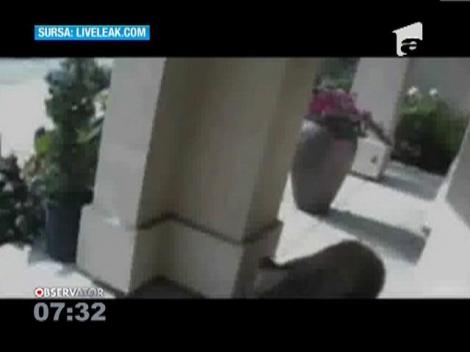 California: Doi bătrânei au trecut pe lângă un urs care se plimba pe veranda lor