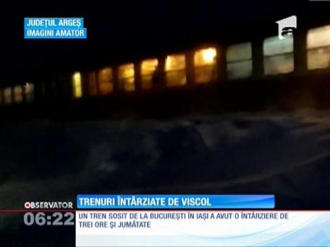 Viscolul a îngheţat traficul feroviar