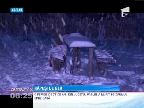 Frigul a făcut șase victime, în România