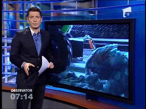 Autostrada A1 Bucureşti- Piteşti, redeshisă circulaţiei