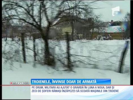 Troienele, învinse doar de armată