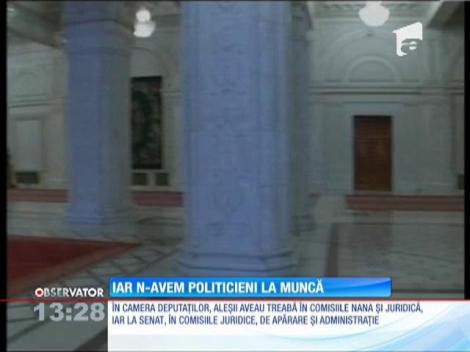 Iar n-avem politicieni la muncă