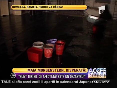 Maia Morgenstern cere ajutor pentru consolidarea Teatrului Evreiesc