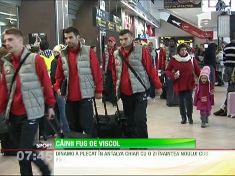 Dinamo a plecat în Spania