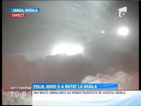 Polul Nord s-a mutat în Brăila!