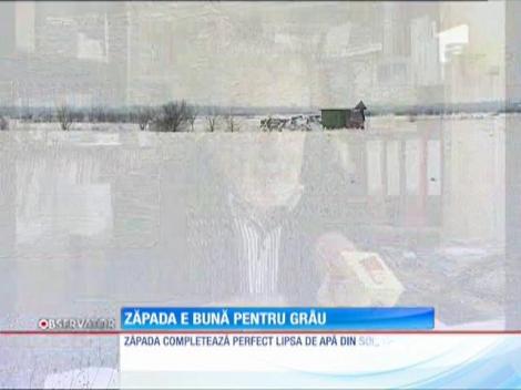 Agricultorii se bucură de ninsorile abundente