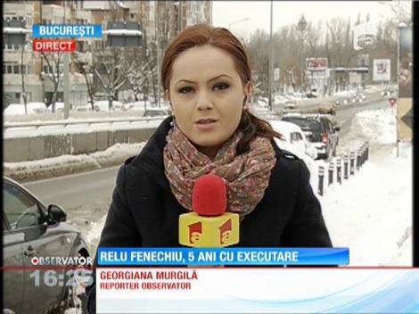 Fostul ministru al Trasporturilor Relu Fenechiu va sta 5 ani în închisoare