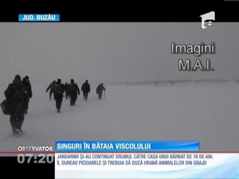 Salvatorii acţionează ca trupele speciale pentru salvarea sinistraților