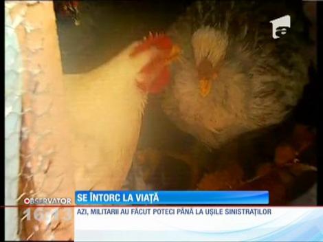 Încet, încet, satele se scutură de troiene