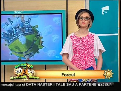 Horoscopul chinezesc - Anul Calului de Lemn