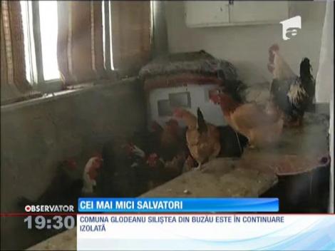Mai mulţi copii din Glodeanu au bătut la uşile bătrânilor fără sprijin din sat cu alimente