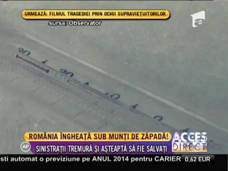 Ger cumplit în România!