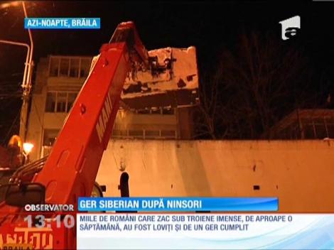 Ger siberian după ninsori