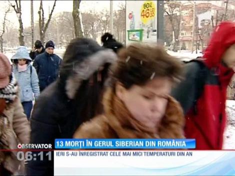 Iarna a lovit într-un adăpost de animale din judeţul Galaţi