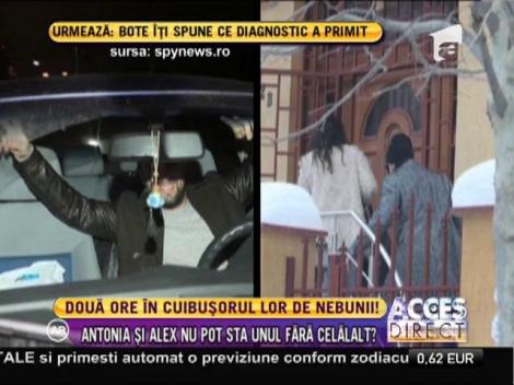 Alex Velea şi Antonia au stat două ore în ”cuibușorul lor de nebunii”