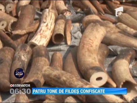Autorităţile din Togo au capturat 4 tone de fildeş de contrabandă