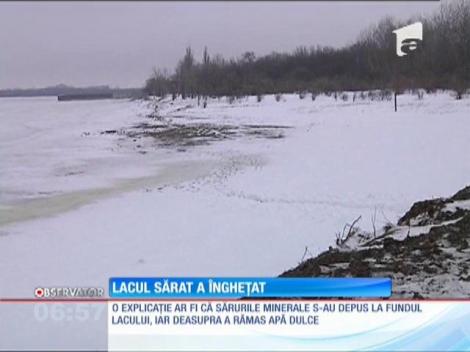 Lacul sărat din Brăila a îngheţat