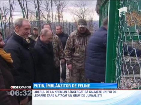 Vladimir Putin, îmblânzitorul de feline